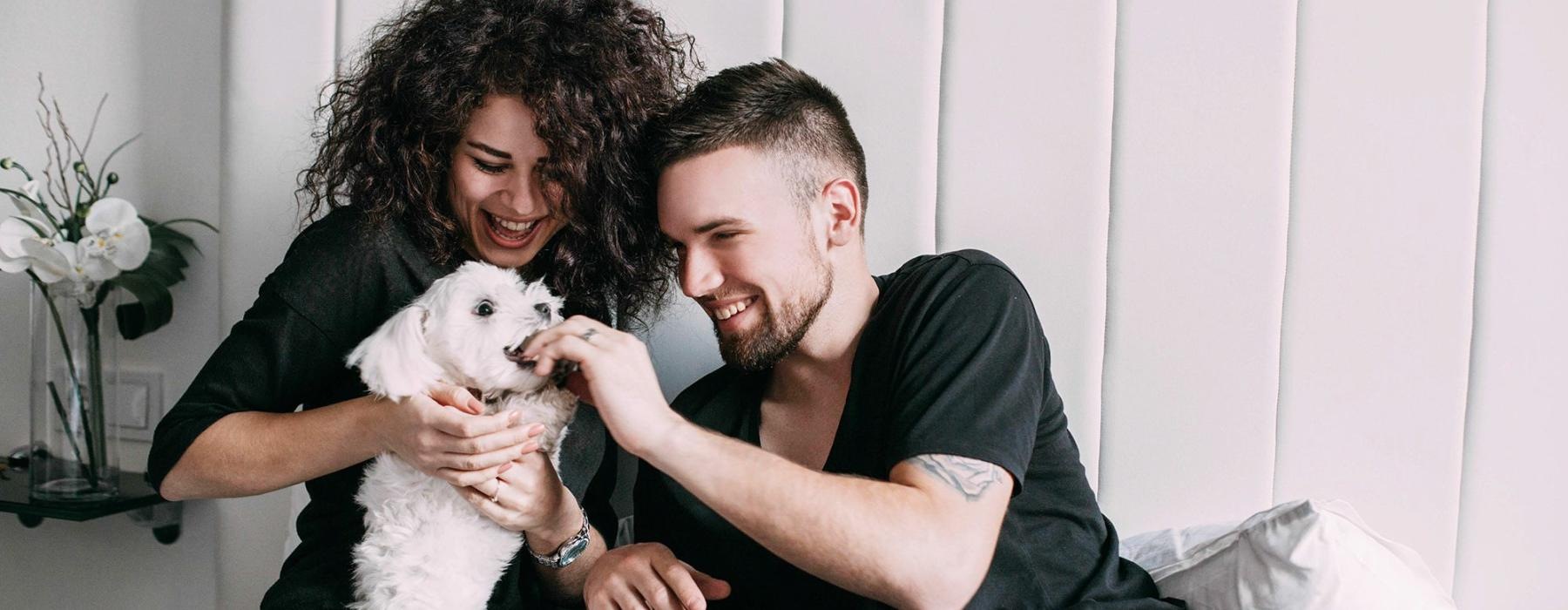 a man and woman sitting on a bed playing with a dog